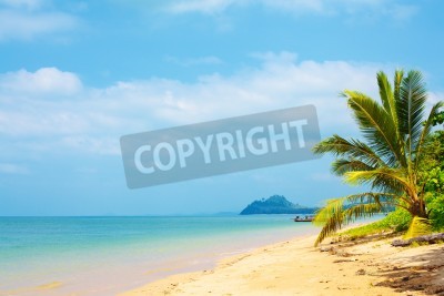 Papier peint  Tropiques ensoleillés