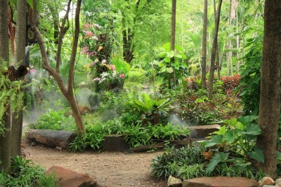 Papier peint  Tropiques et fleurs