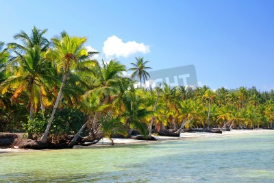 Papier peint  Tropiques et palmiers sur la plage