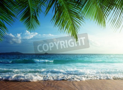 Papier peint  Tropiques et vagues en mer