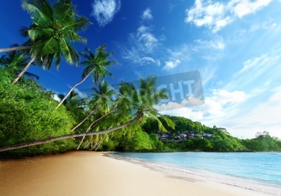Papier peint  Tropiques sur la plage