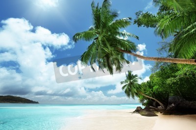Papier peint  Tropiques sur la plage aux Seychelles
