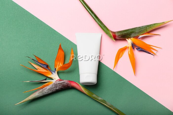 Papier peint  Tube of cosmetic product and strelitzia flowers on color background