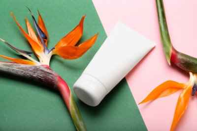 Papier peint  Tube of cosmetic product and strelitzia flowers on color background, closeup