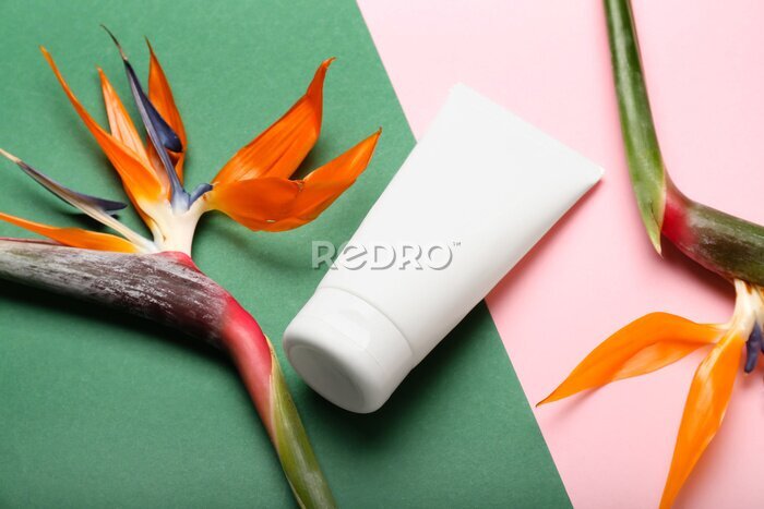 Papier peint  Tube of cosmetic product and strelitzia flowers on color background, closeup