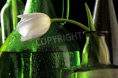 Papier peint  Tulipe blanche et bouteilles vertes