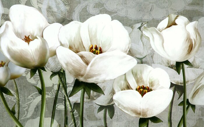 Papier peint  Tulipes blanches abstraites