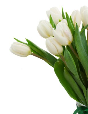 Papier peint  Tulipes blanches en bouquet
