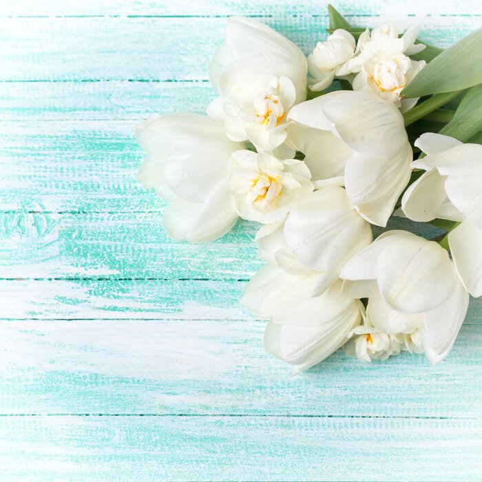 Papier peint  Tulipes blanches sur le bois