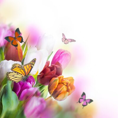 Papier peint  Tulipes colorées et papillons