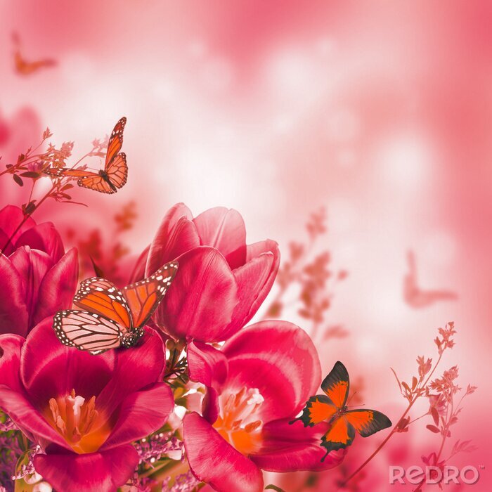 Papier peint  Tulipes et papillons aux tonalités rouges