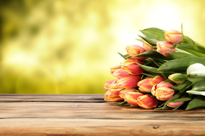 Papier peint  Tulipes et planches