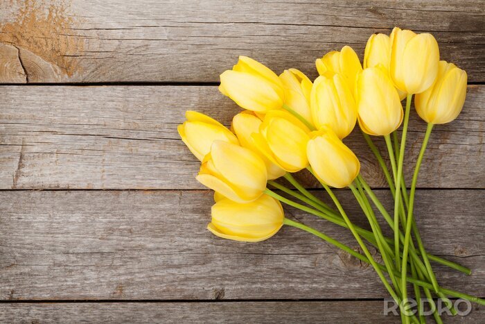 Papier peint  Tulipes jaunes sur les planches