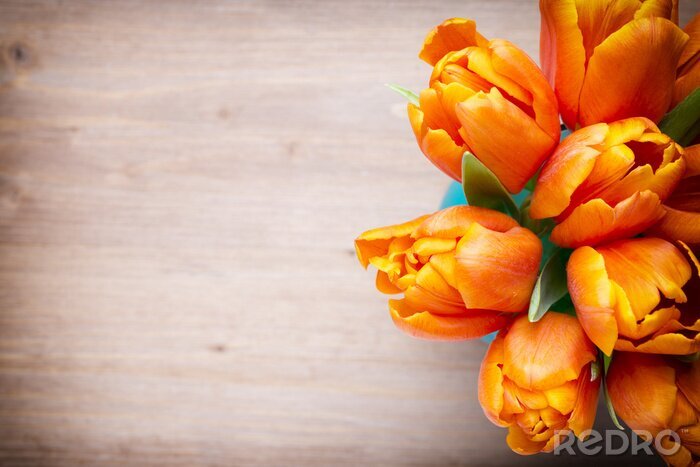 Papier peint  Tulipes oranges dans un bouquet