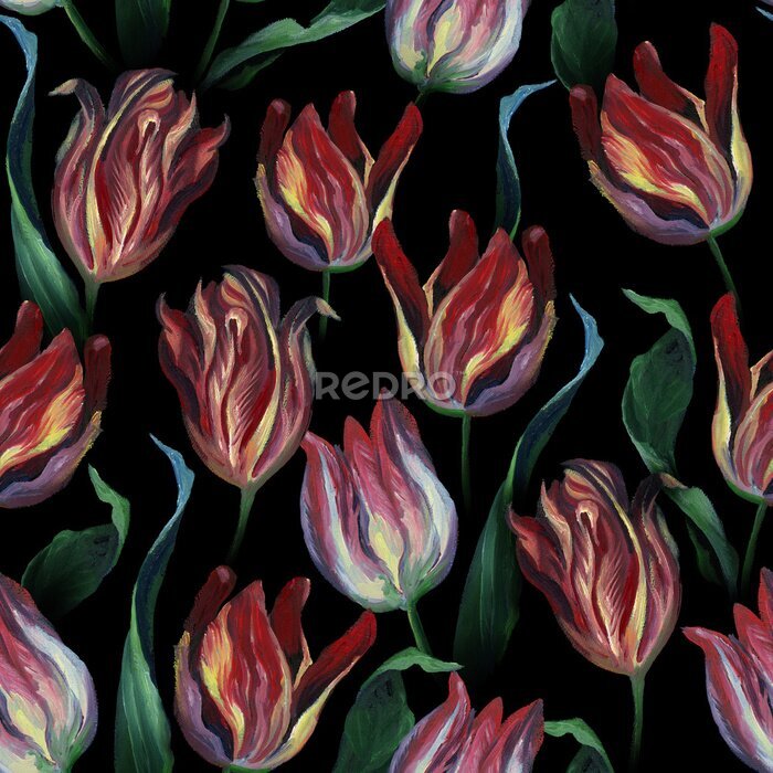 Papier peint  Tulipes peintes sur fond noir