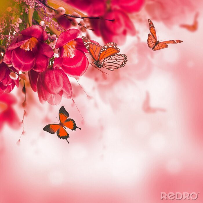 Papier peint  Tulipes roses abstraites avec des papillons