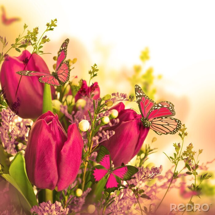 Papier peint  Tulipes roses et papillons abstraits