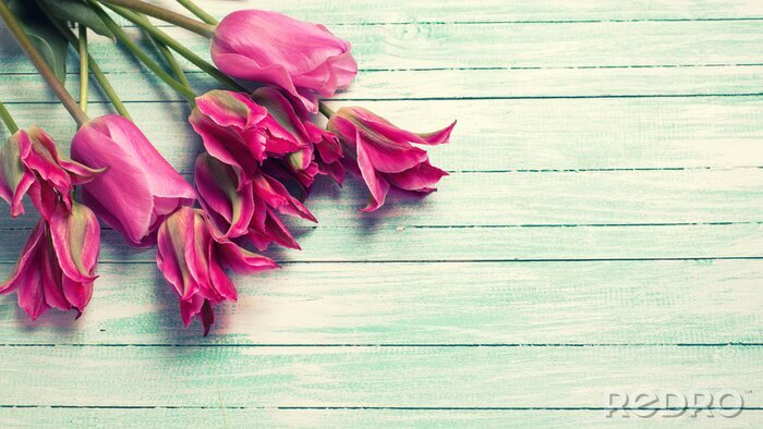 Papier peint  Tulipes roses sur les planches