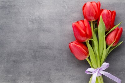 Tulipes rouges sur béton