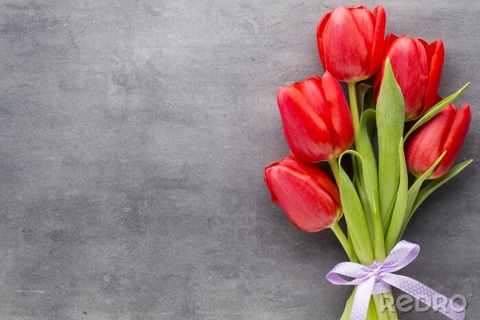 Papier peint  Tulipes rouges sur béton