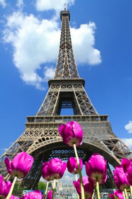 Papier peint  Tulipes sur fond d'architecture parisienne