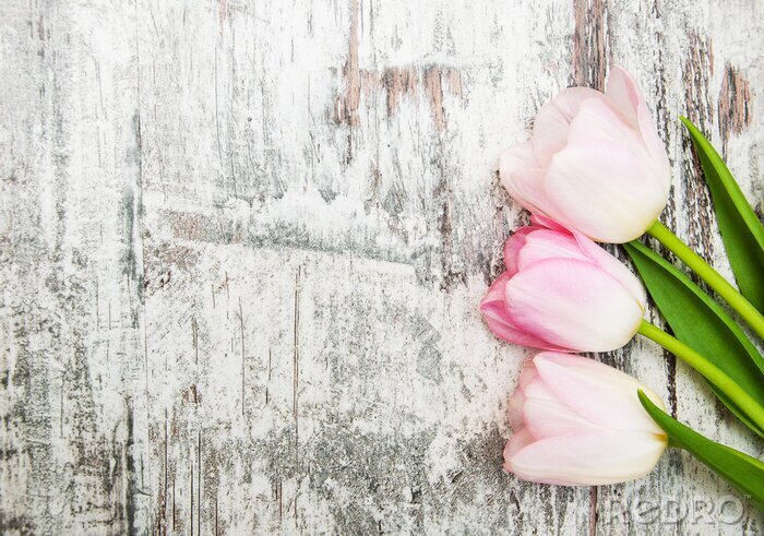 Papier peint  Tulipes sur les planches