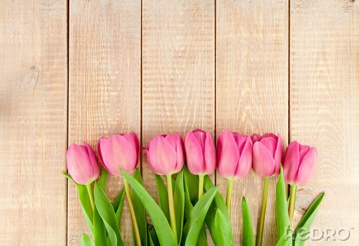 Papier peint  Tulipes sur les planches marron
