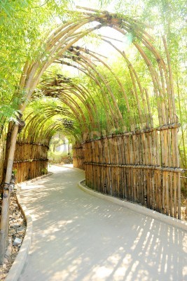 Papier peint  Tunnel de bambou 3d