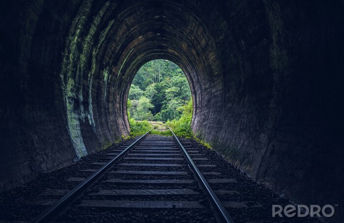 Papier peint  Tunnel ferroviaire en forêt