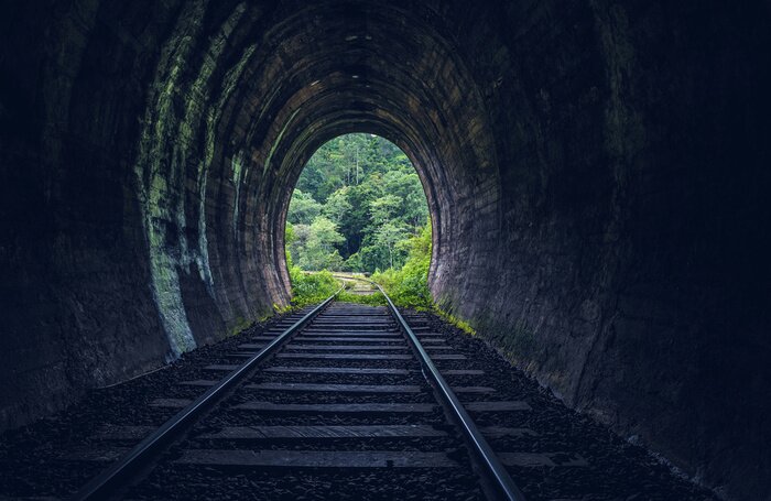 Papier peint  Tunnel ferroviaire en forêt