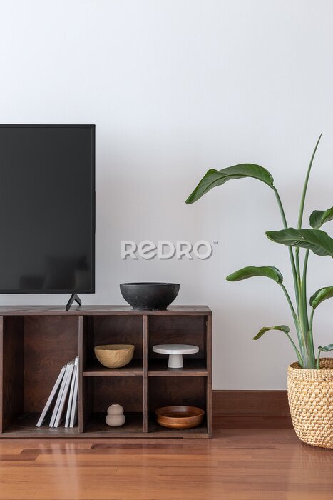 Papier peint  TV and storage area with handmade decor and big strelitzia