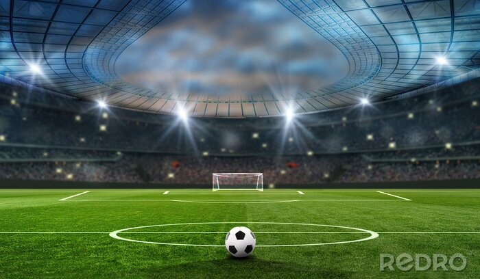 Papier peint  Un ballon dans un stade vide rempli de fans