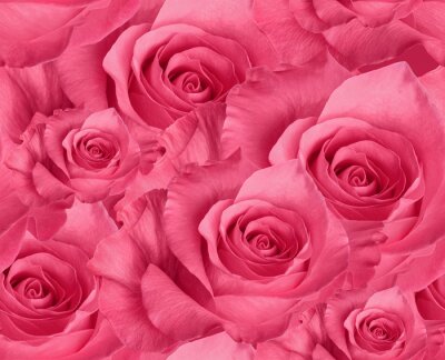 Papier peint  Un bouquet de cent roses
