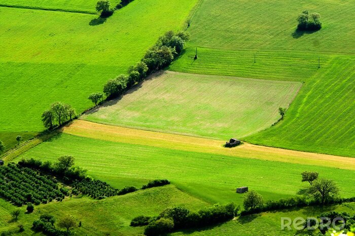 Papier peint  Un champ cultivé vu d'en haut