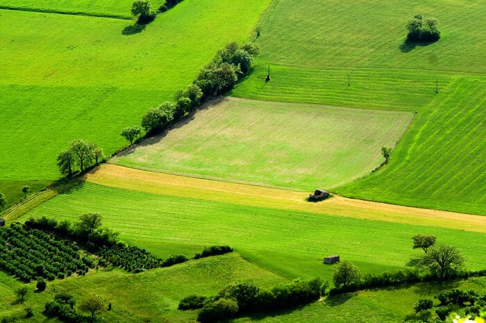 Papier peint  Un champ cultivé vu d'en haut
