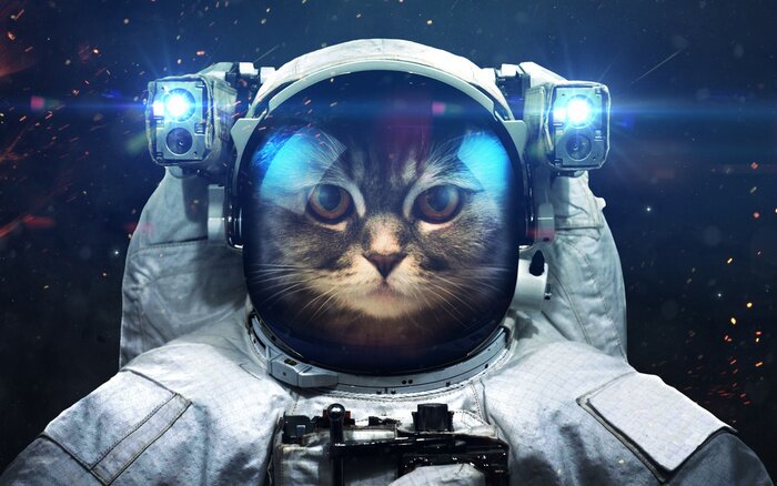 Papier peint  Un chat astronaute dans l'espace