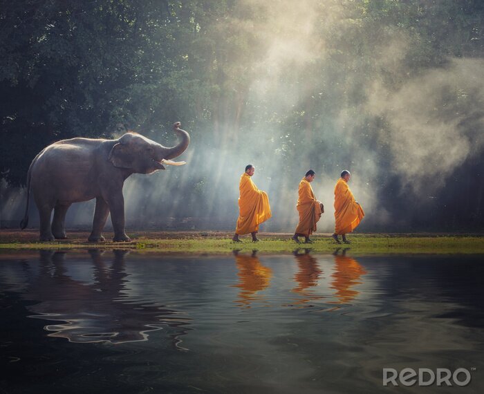 Papier peint  Un éléphant et trois moines