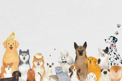 Papier peint  Un groupe de chiens mignons