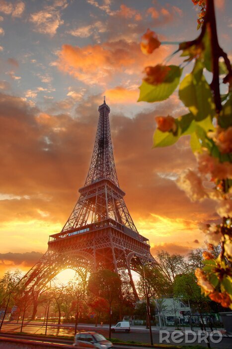 Papier peint  Un matin de printemps à Paris