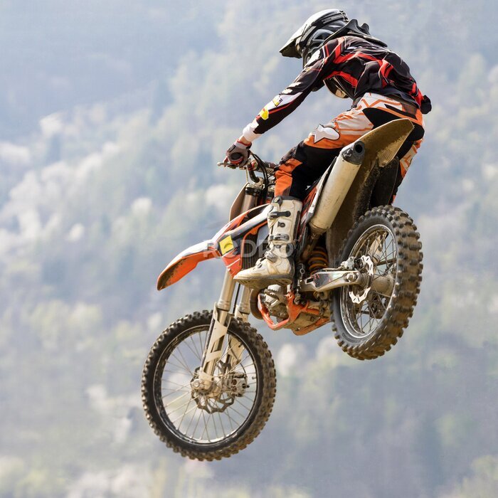 Papier peint  Un motard en vol sur fond de forêt