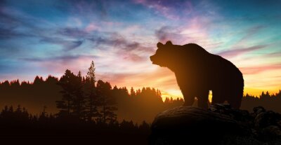 Papier peint  Un ours dans un paysage avec un coucher de soleil en arrière-plan