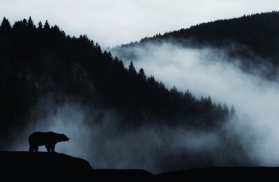 Papier peint  Un ours dans un paysage de montagne dans le brouillard