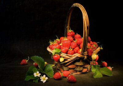 Un panier de fraises des bois