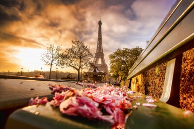 Un petit banc et la Tour Eiffel au lever du soleil