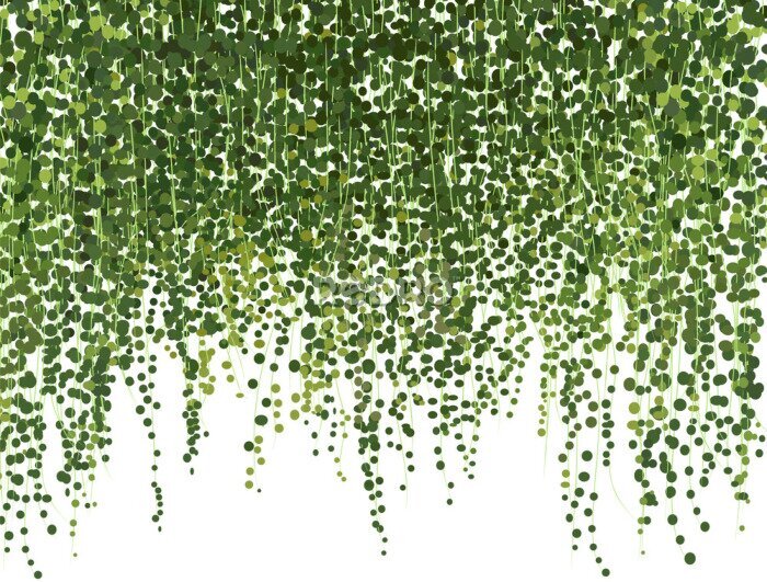 Papier peint  Un rideau de petites feuilles vertes