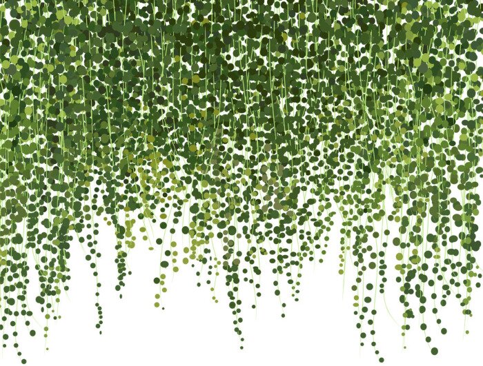 Papier peint  Un rideau de petites feuilles vertes