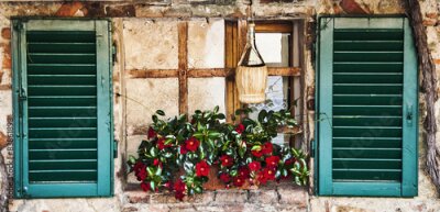 Papier peint  Une fenêtre aux volets ouverts