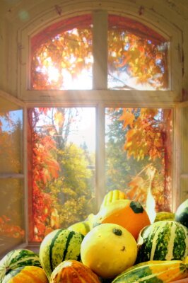 Papier peint  Une fenêtre donnant sur les feuilles d'automne