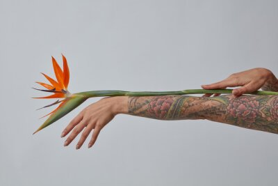 Papier peint  Une fleur de strelitzia orange décore une main féminine sur un fond gris avec un espace de copie