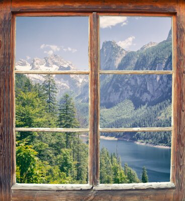 Une forêt derrière une fenêtre